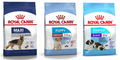 alimento para perros Royal Canin