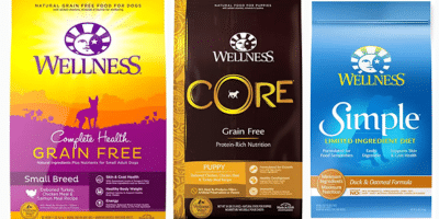 wellness dog food