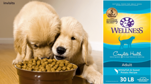 Wellness dog food