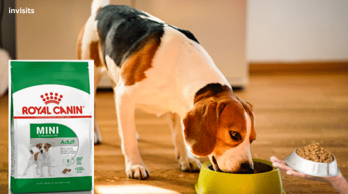 alimento para perros Royal Canin